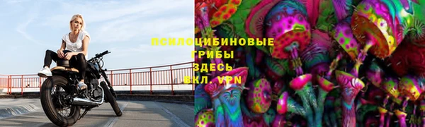 2c-b Яровое