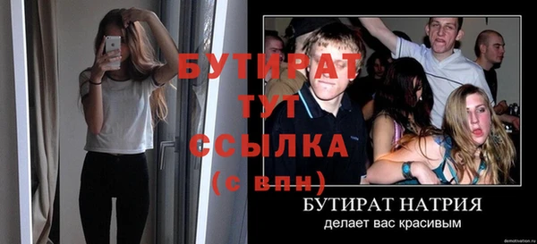 шишки Надым