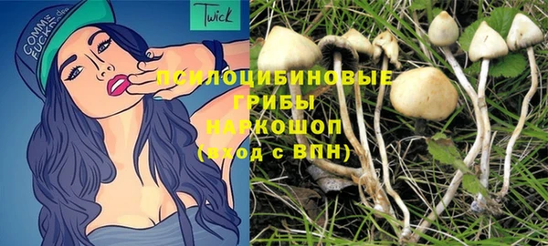 2c-b Яровое