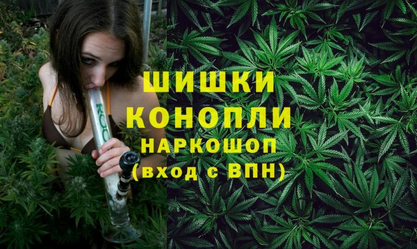 молекула духа Осташков