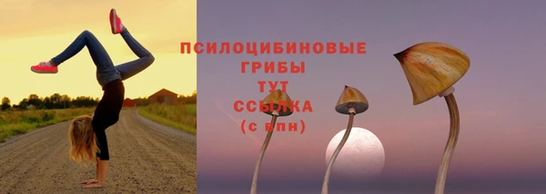 2c-b Яровое