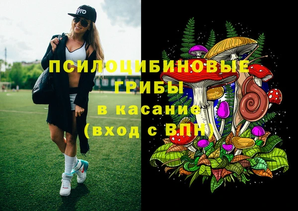 МДПВ Янаул