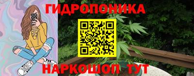 прущие грибы Камышлов