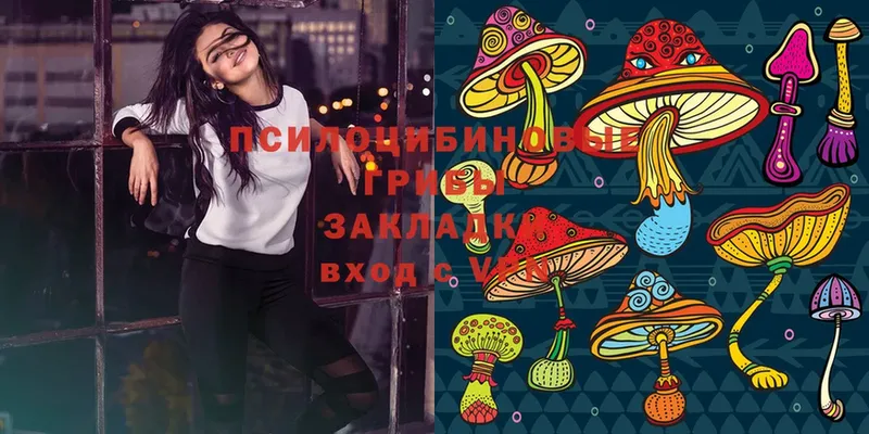 купить  цена  Якутск  Псилоцибиновые грибы Magic Shrooms 