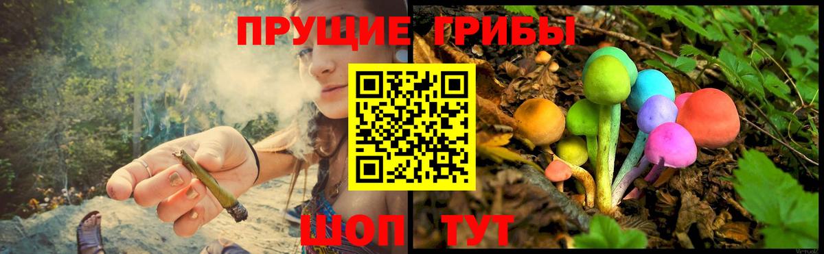 Псилоцибиновые грибы ЛСД Якутск