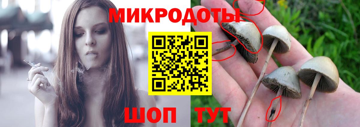 Галлюциногенные грибы прущие грибы  Вход с VPN  Якутск 